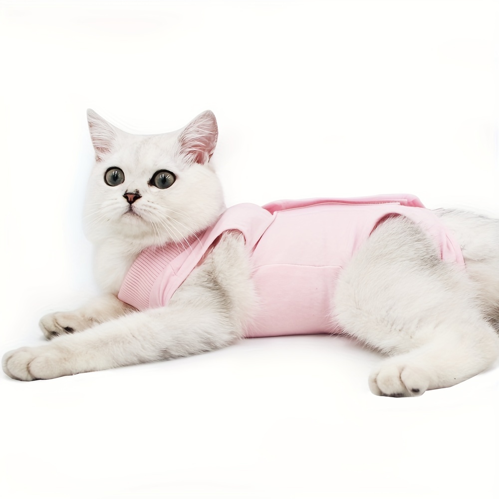 Cat Recovery Suit After Surgery for Female Male Pet Surgical Pajamas L –  oiopet