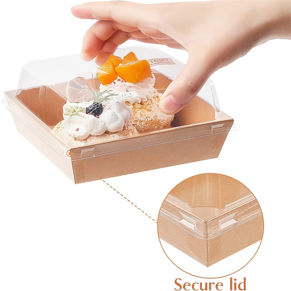 Disposable Plastic To Go Containers with Clear Lids Square