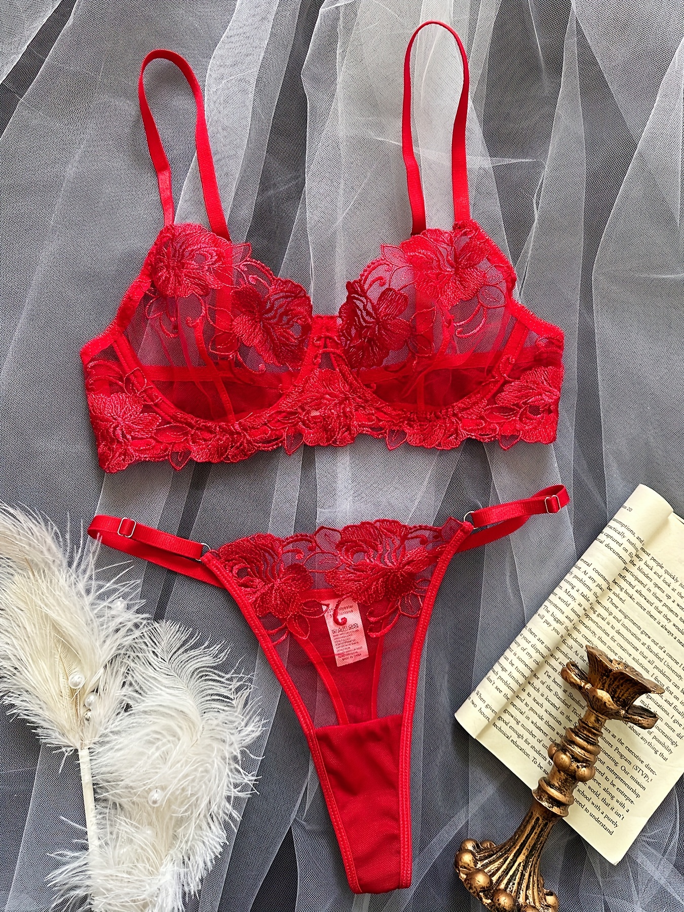 Sexy Red Embroidered Plus Size Bra And Panties Set Back With Lace