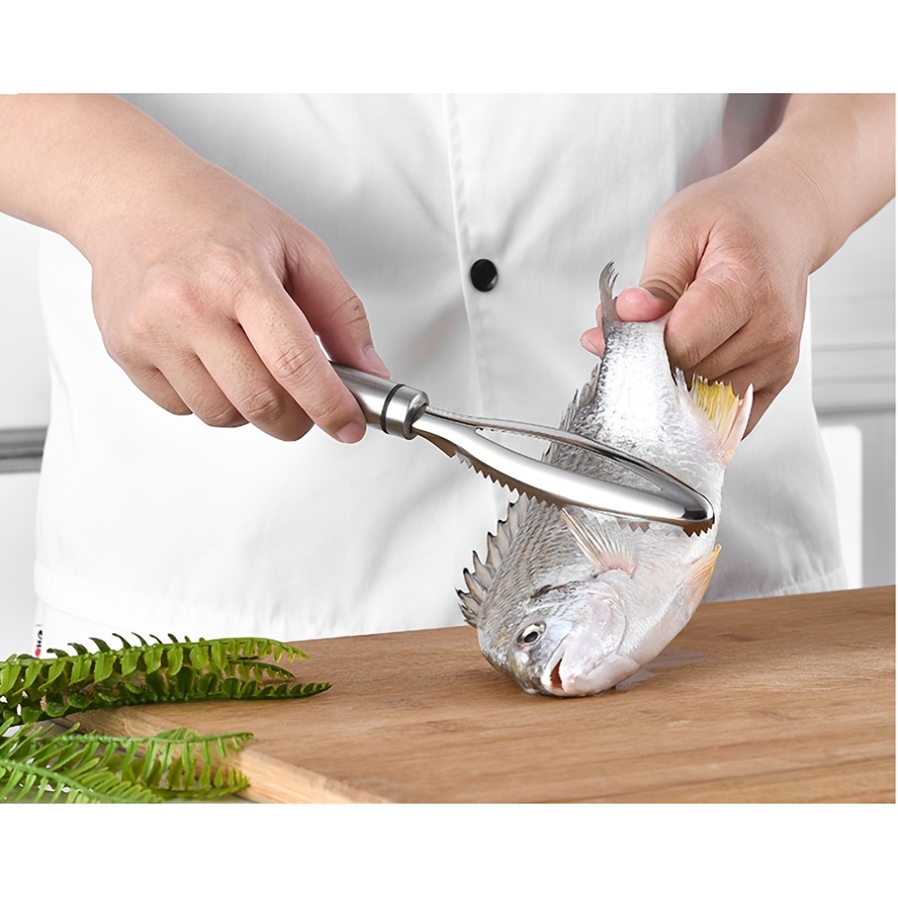 Acheter Brosse à écailles de poisson, brosse à peau de poisson, outils de  cuisine domestique pour fruits de mer, grattage, râpes à écailles de pêche,  éplucheur de poisson avec dispositif à couteau