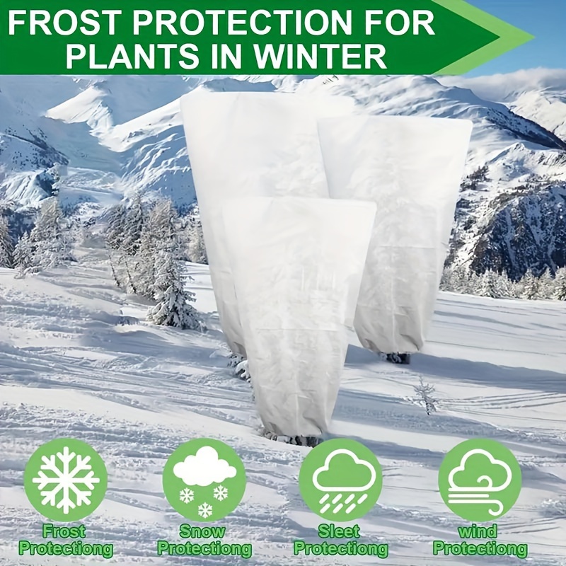 Protection hivernale des arbres et des arbustes