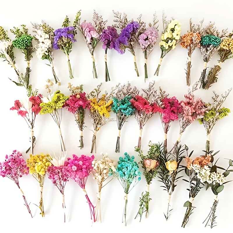 10 Pcs Mini Dried Flowers Natural Gypsophila Dried Flowers Bouquet of  Flowers Natural Flower Bouquets Flower Plant Stem Bunch for DIY Craft Card  Home