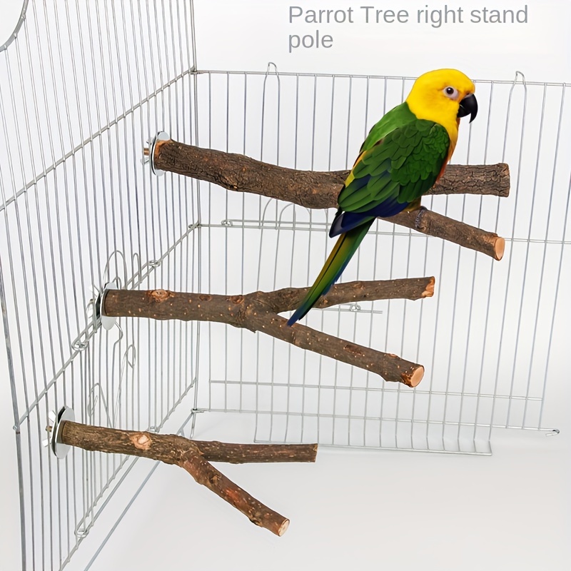 Bâton en bois pour perroquet, oiseau, raisin sauvage, perchoirs