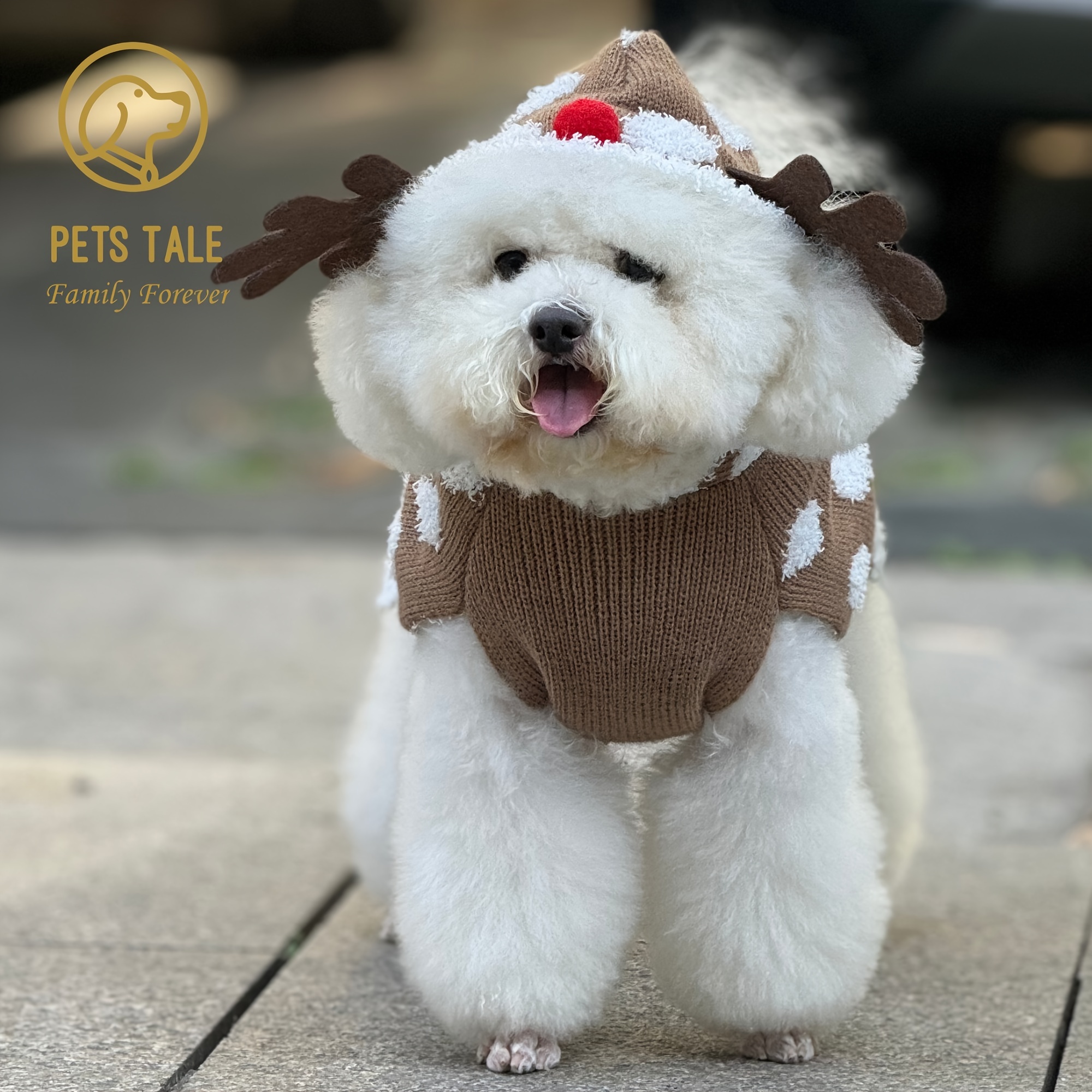 Cute dog outlet apparel