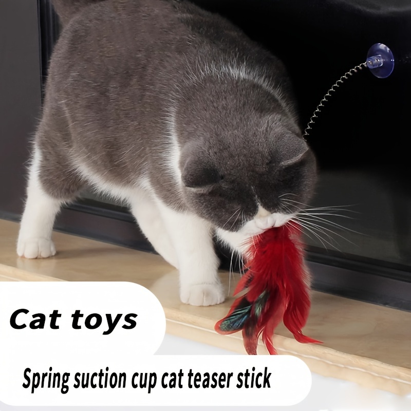 1pc Feather Spring Cat Toy Suction Cup Multicolored Cat Feather Wand Pet  Toys