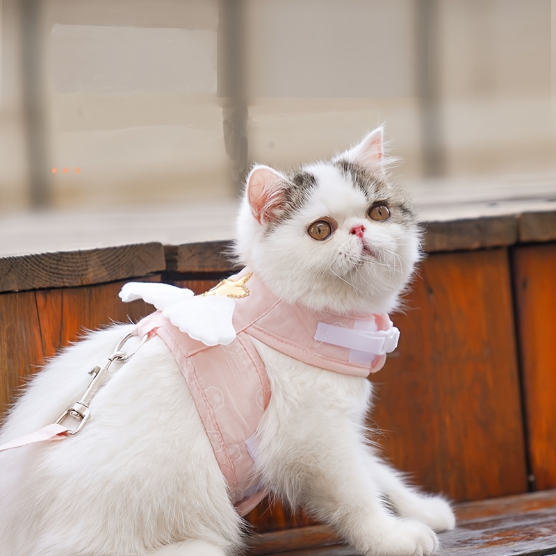 Cat store chest harness