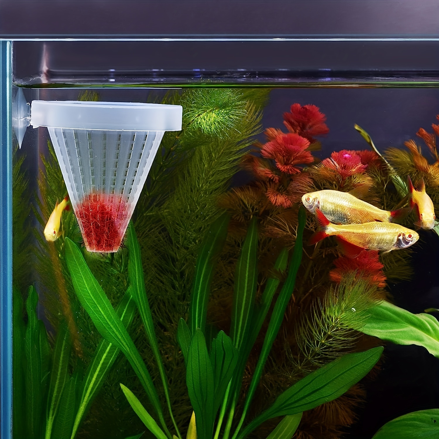 Aquarium Basket Feeder Fish Food Live Worm Bloodworm Cone Feed Fish Tank  For Feeding Fish
