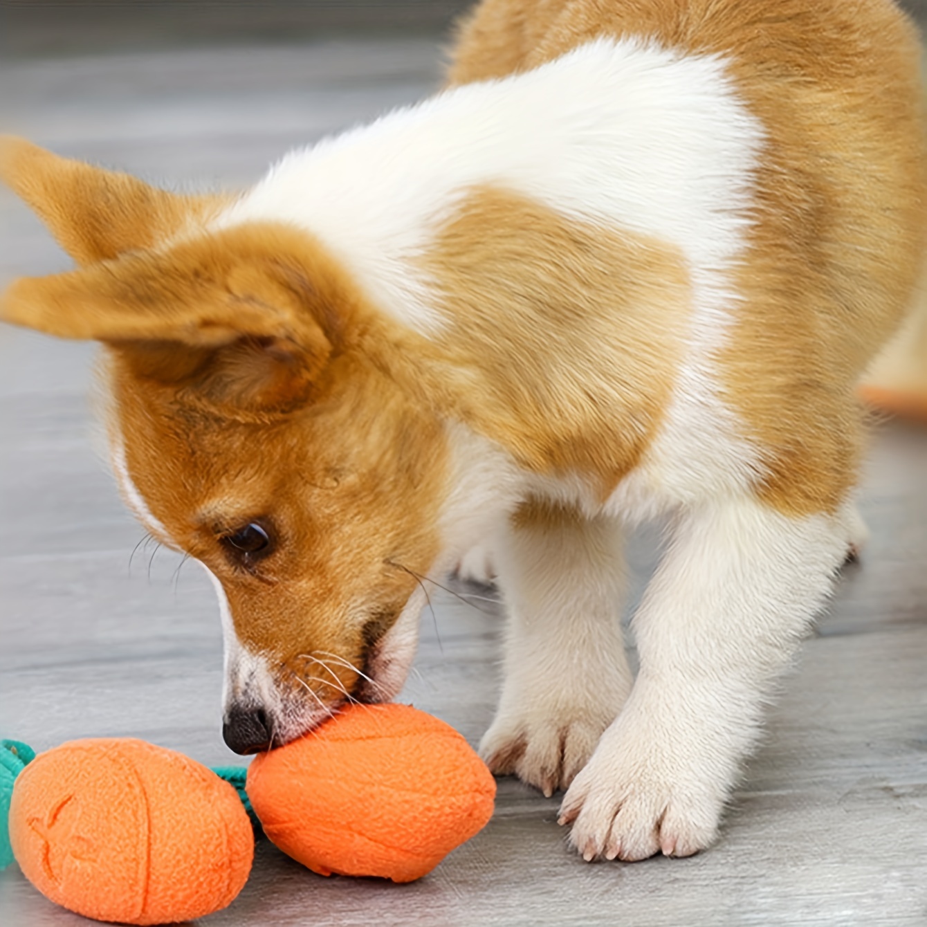 Carrot Snuffle Fun Dog Puzzle Toy – HolyPetz™