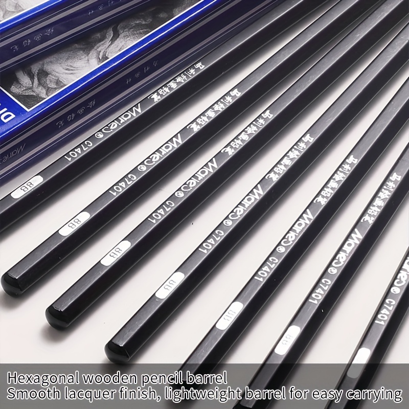 Sketching Pencil Set Professional Drawing 12Pcs Art Graphite Shading for  Artists