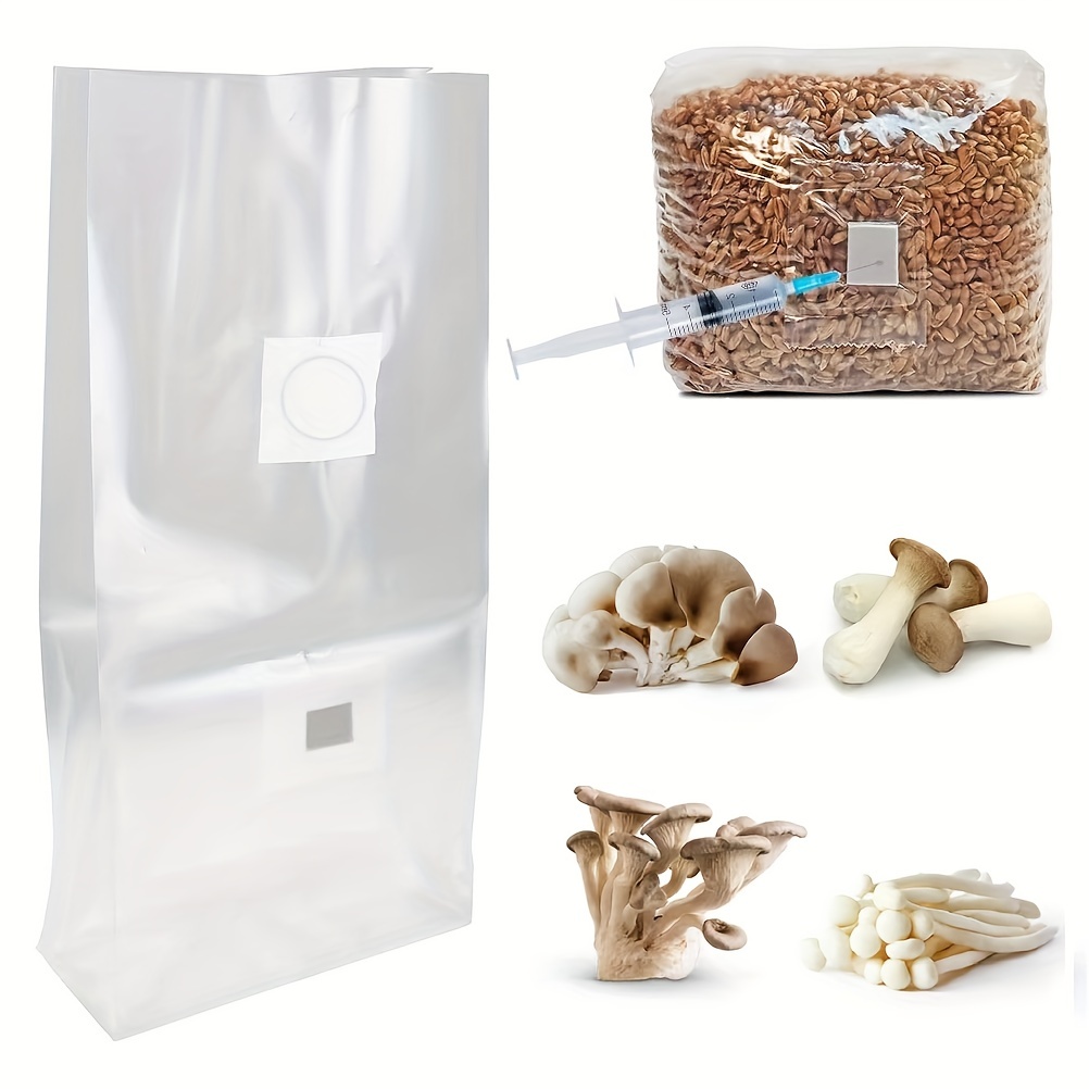 Kit de champignons de Paris en format réduit