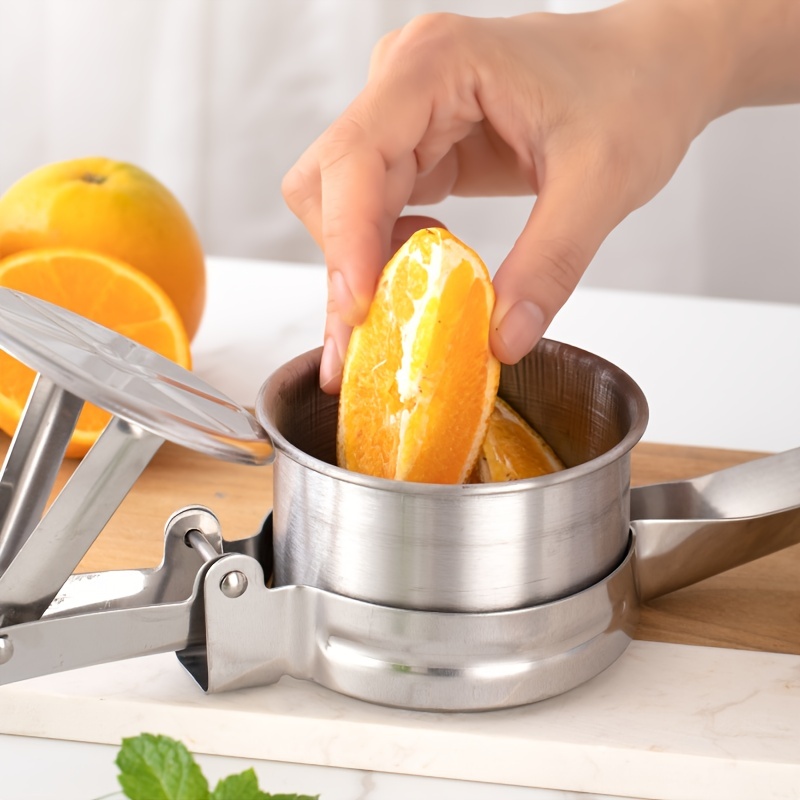 Stainless Steel Chip Maker for Fruit Juicing & Garlic Smashing