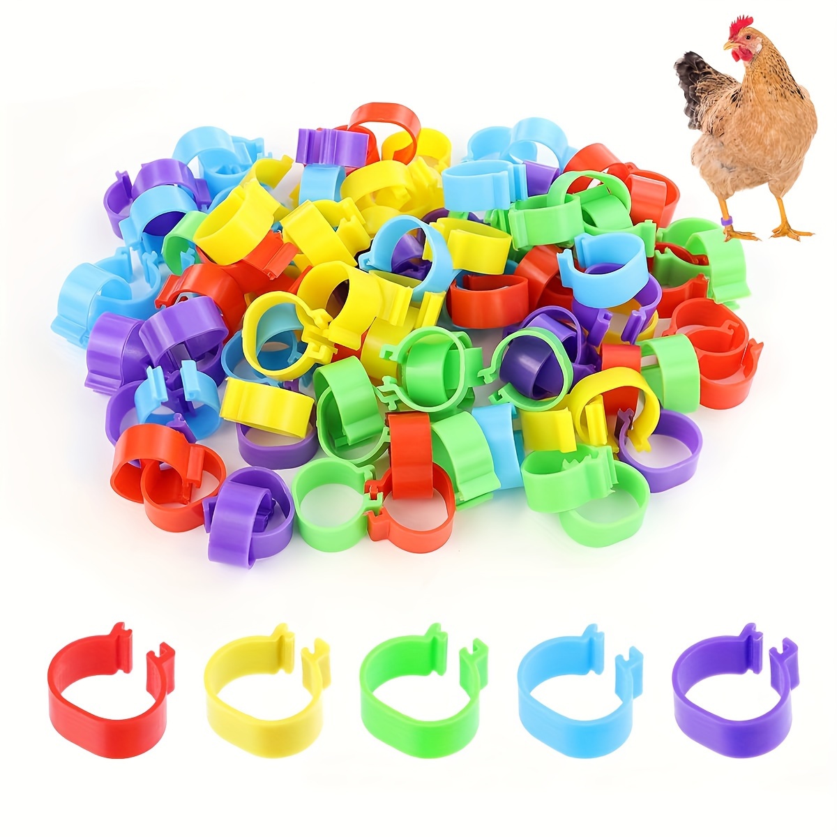 

100pcs Chicken Identification Band 5 Color Chicken Leg Rings 16mm Poultry Foot Rings Leg Bands Clip-on Rings For Poultry Identification
