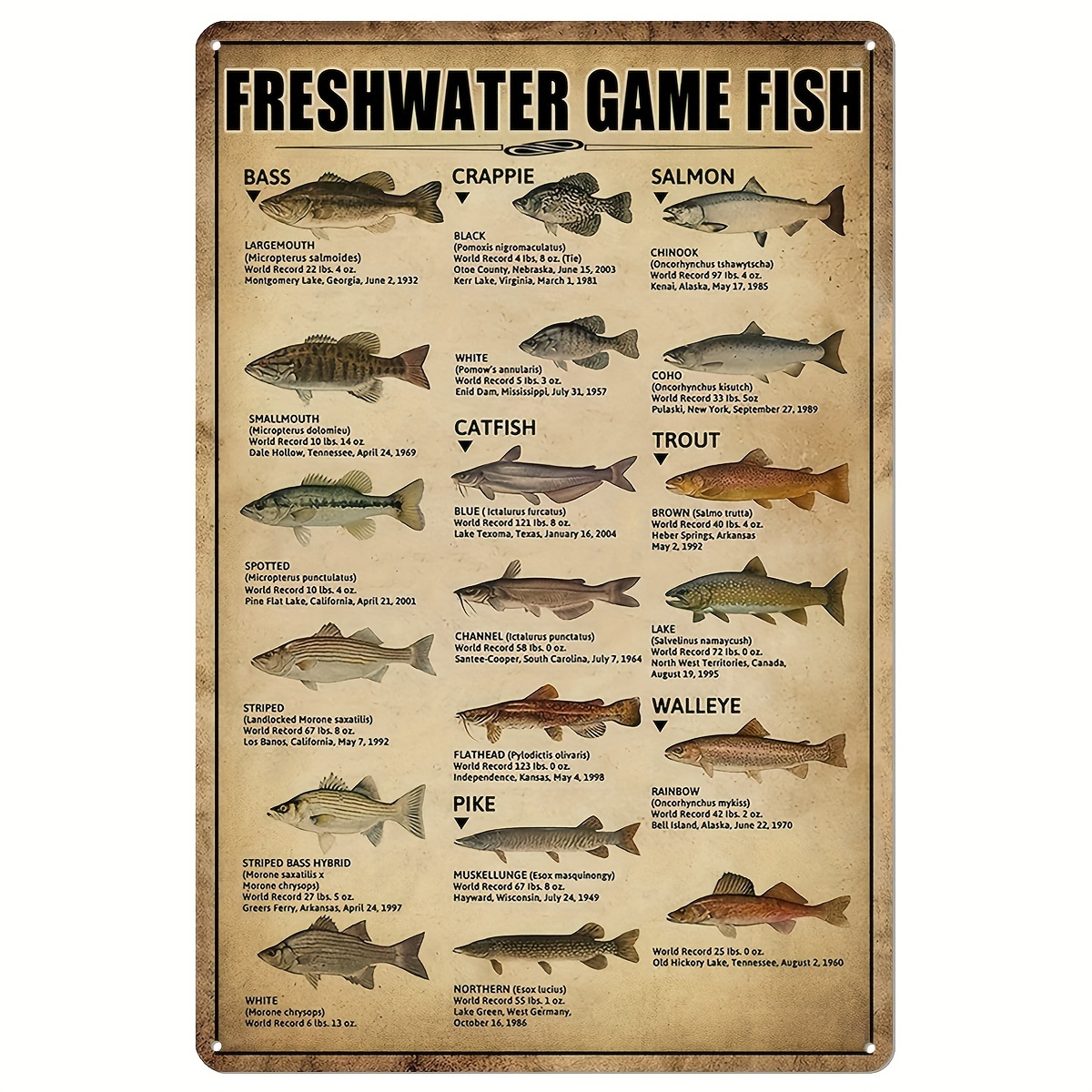 Man Cave Decor Fishing Metal Signs Hunting Poster Farm House Wall Sticker  Vintage Art Crafts Home