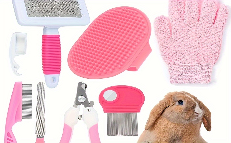 Guinea pig grooming clearance kit