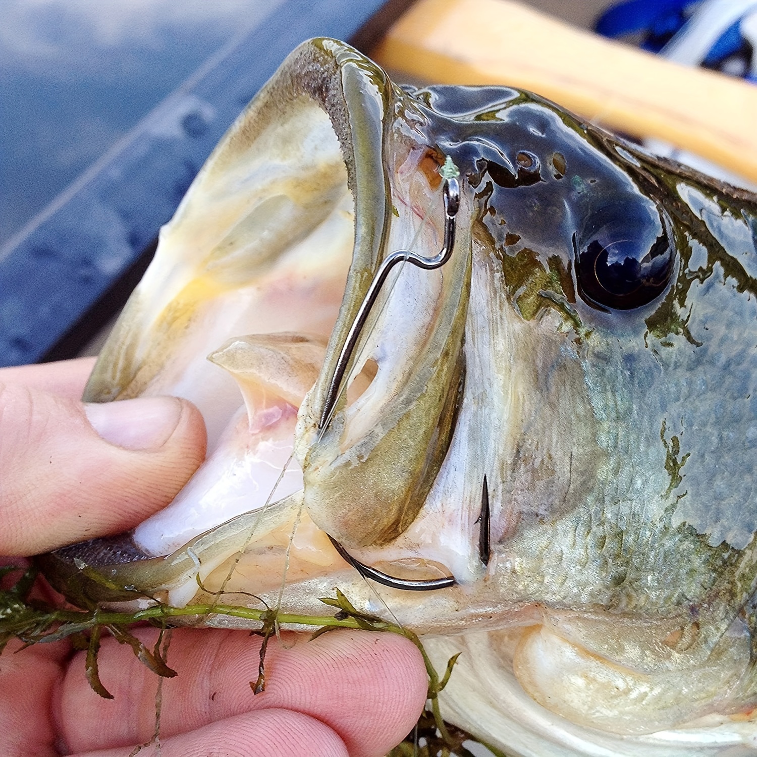 Premium Texas Rig Hooks Bass Fishing Strong Worm Hooks - Temu United Kingdom