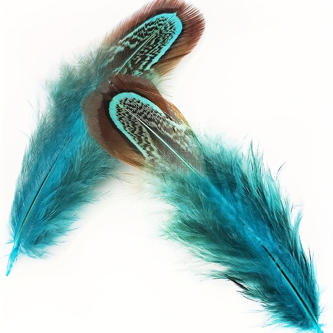 Natural Pheasant Plumage Feathers Plumage Feathers Sewing - Temu