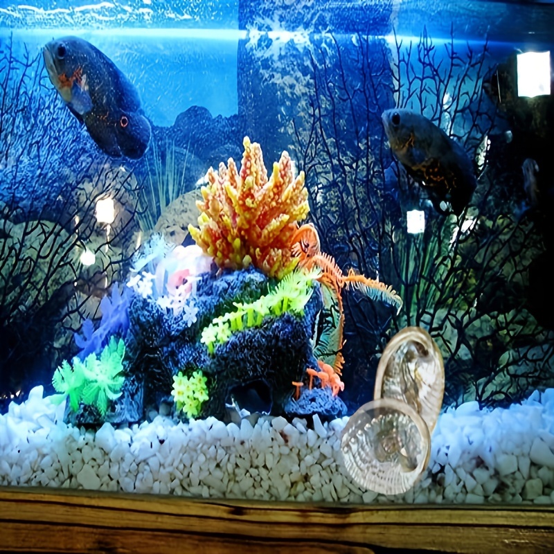 Seashell aquariums discount