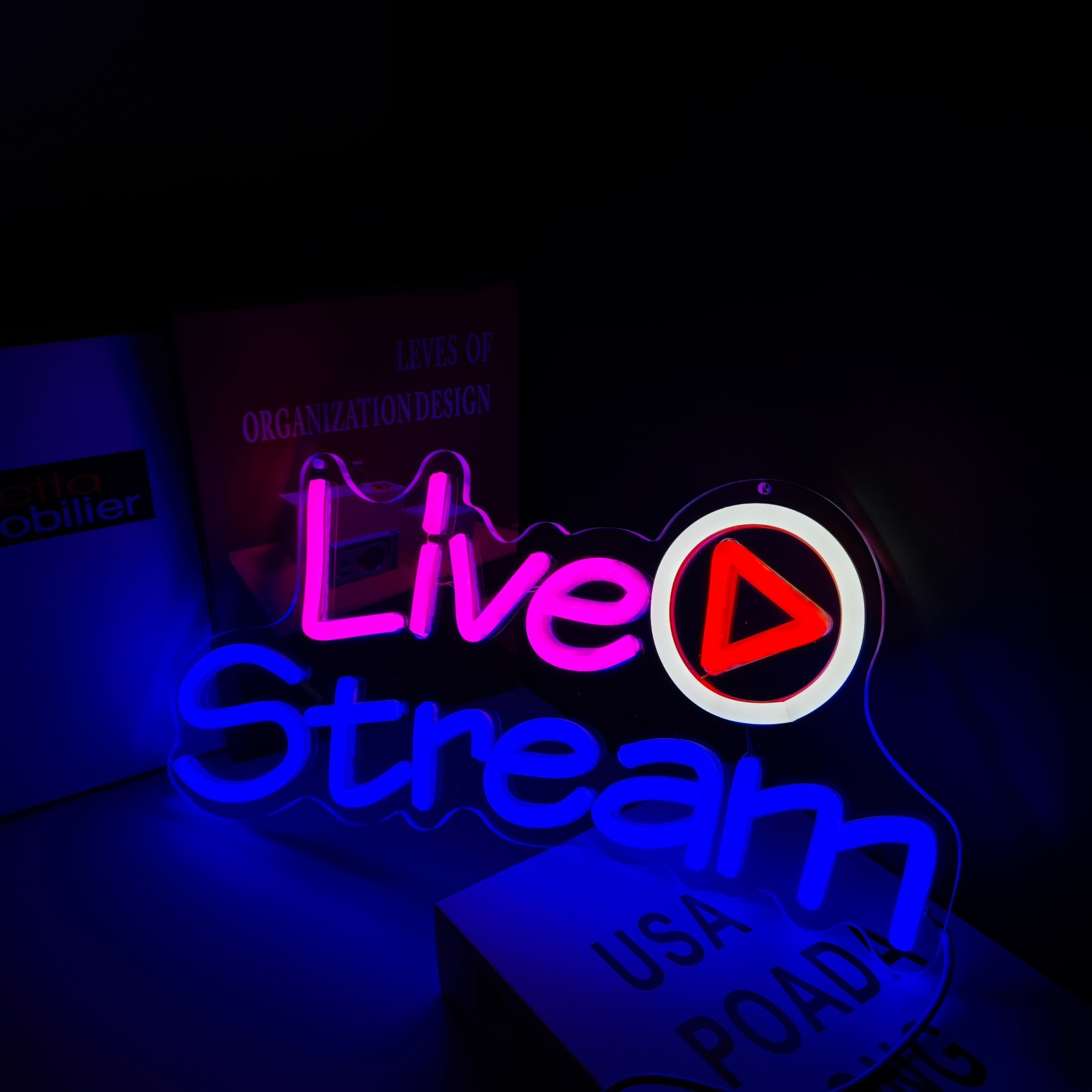 neon the streamer net worth - Ilustrasi 3