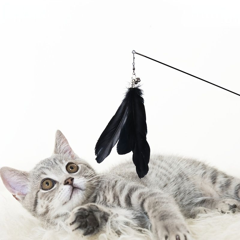 Cute Cat Playing Stick For Cats Dogs Cute Cat Teaser With Bell Tassel Funny  Pet Supplies | Check Out Today's Deals Now | Temu