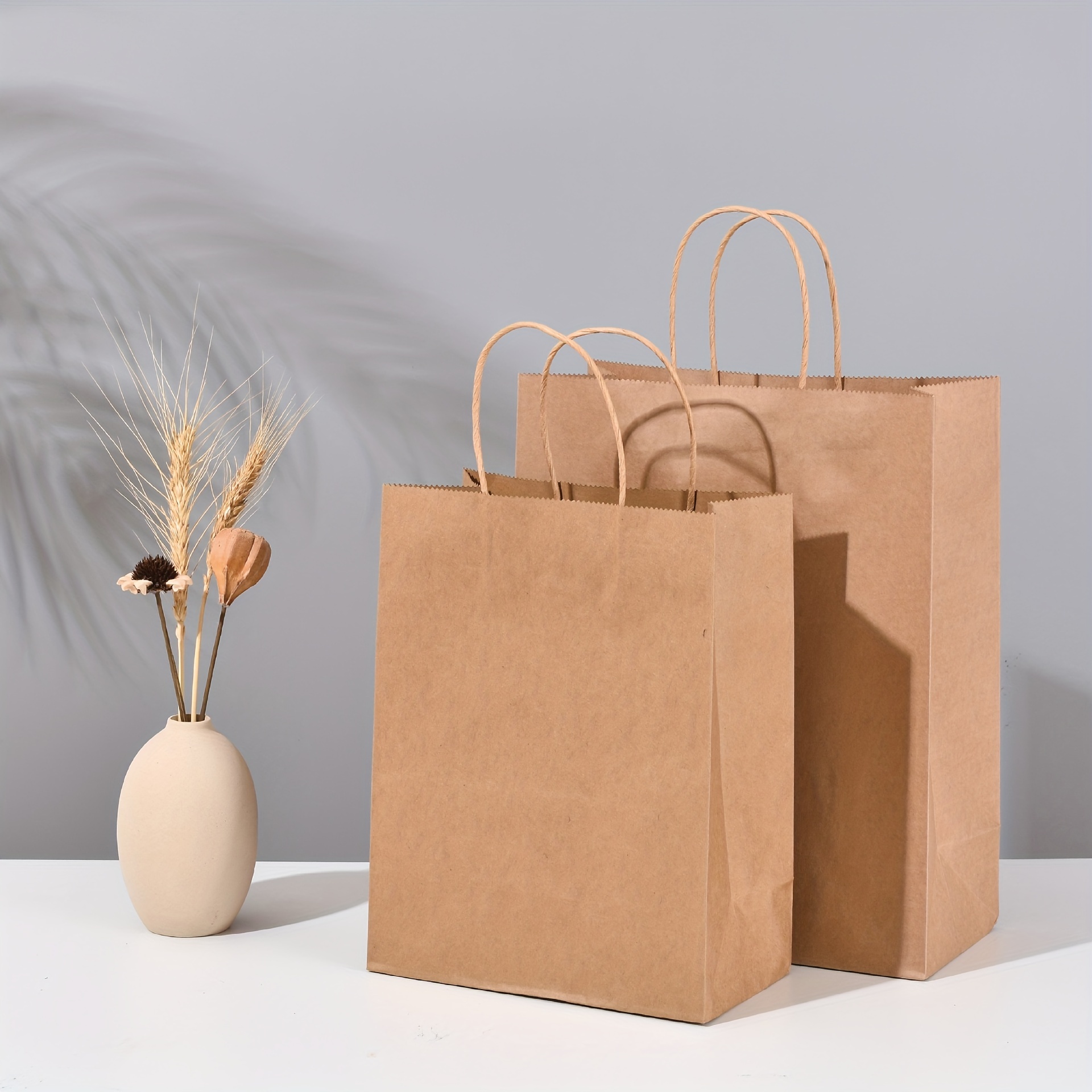 Recyclable Paper Bags, Natural Kraft Medium (100 pcs)