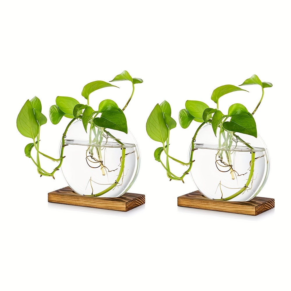  Window Propagation Stations (Set of 4), Easy to Install Plant  Propagation Tubes with Suction Cups - No Nails, Hanging Propagation  Station, Gifts for Plant Lovers