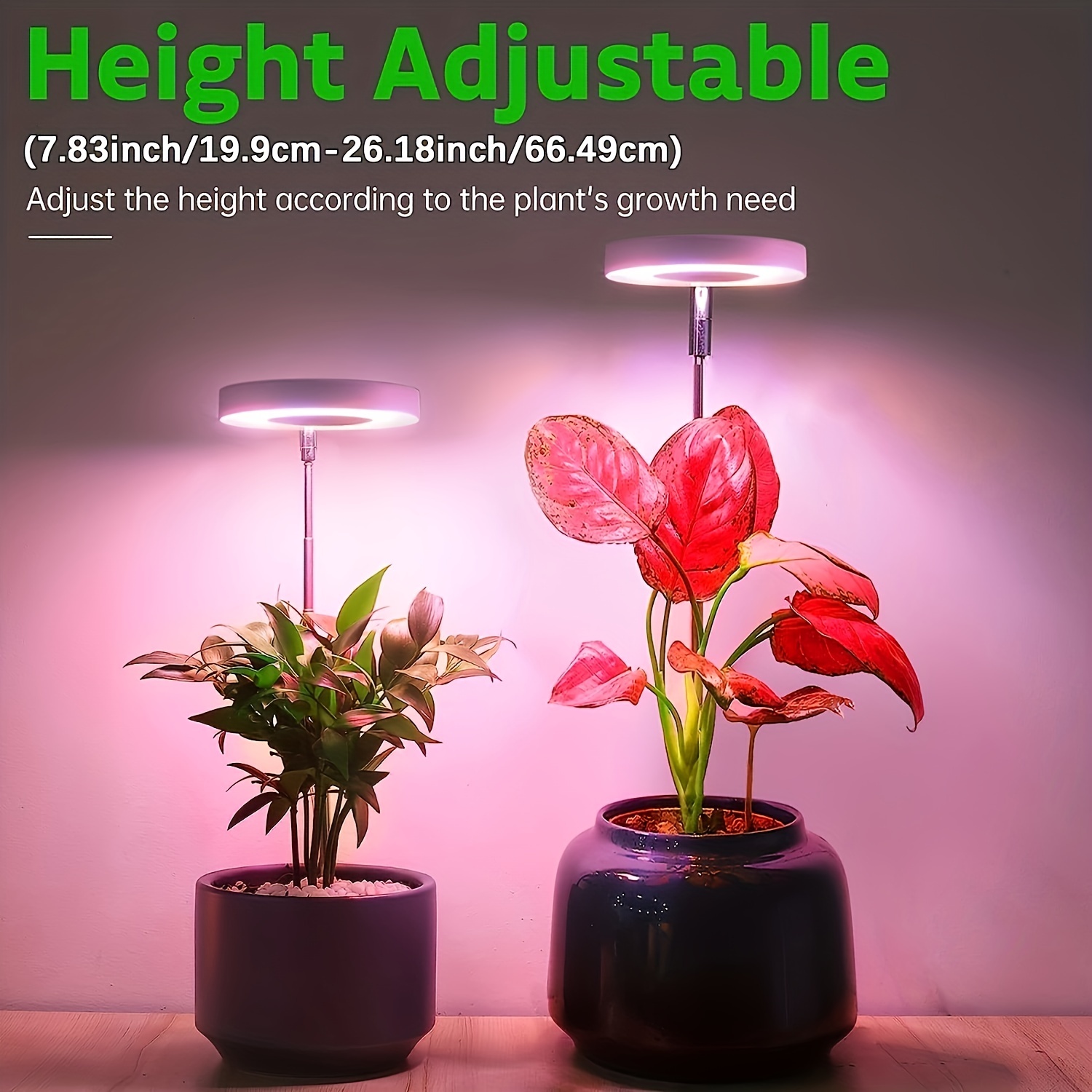 Cheap Indoor Full Spectrum Grow Light with Automatic Timer Height