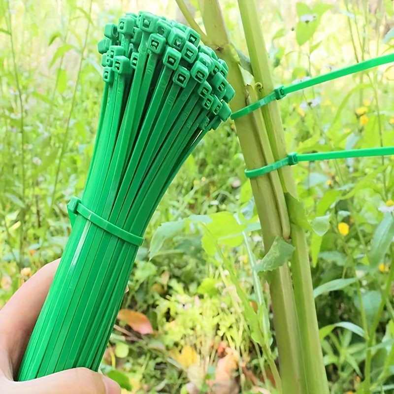 3 Rolls Green Garden Twine Plant Ties Nylon Plant Bandage Fastener Tape  Hook Loop Bamboo Cane Wrap Support Accessories Red - AliExpress