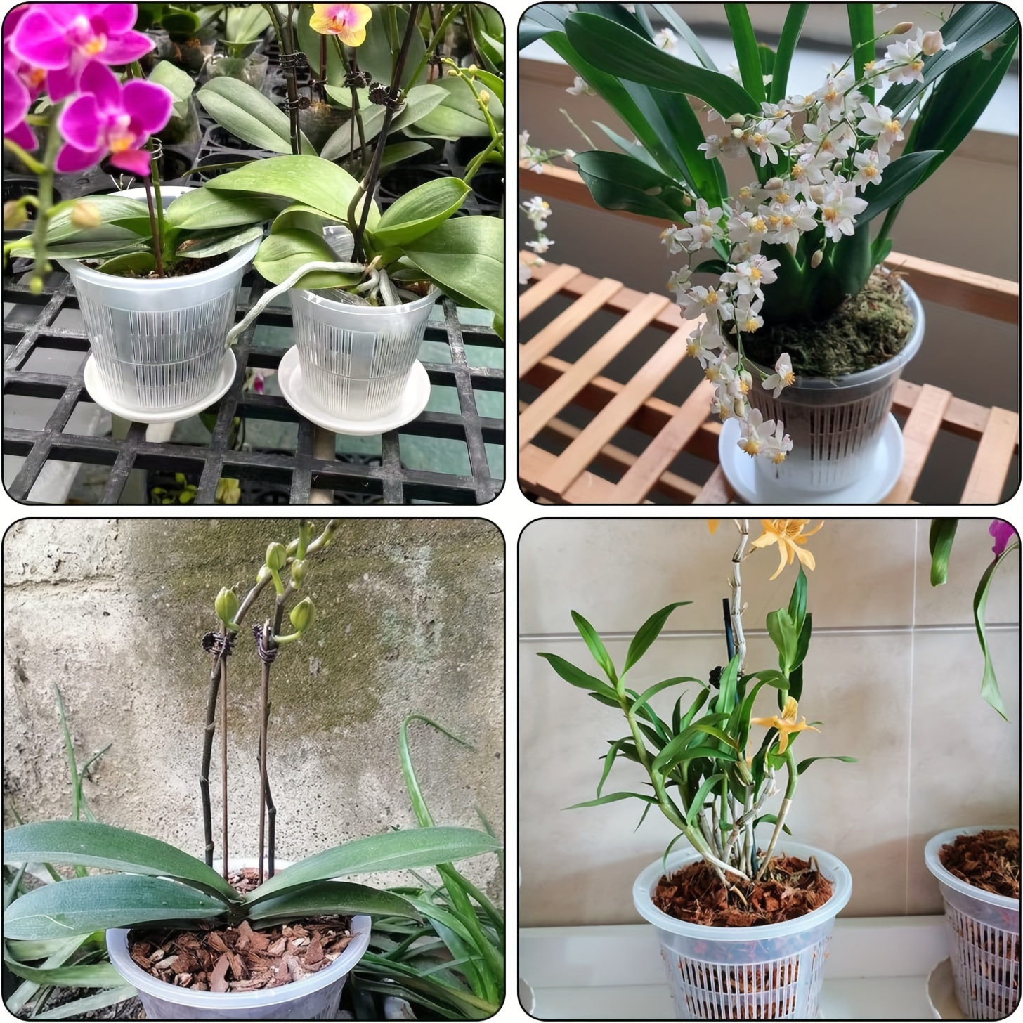 Pots d'orchidées en plastique transparent avec trous Pot de fleur  transparent