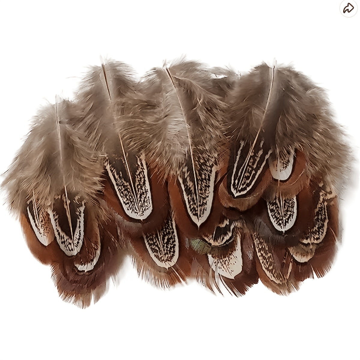 Natural Pheasant Feathers - 10pcs - Trimming Shop