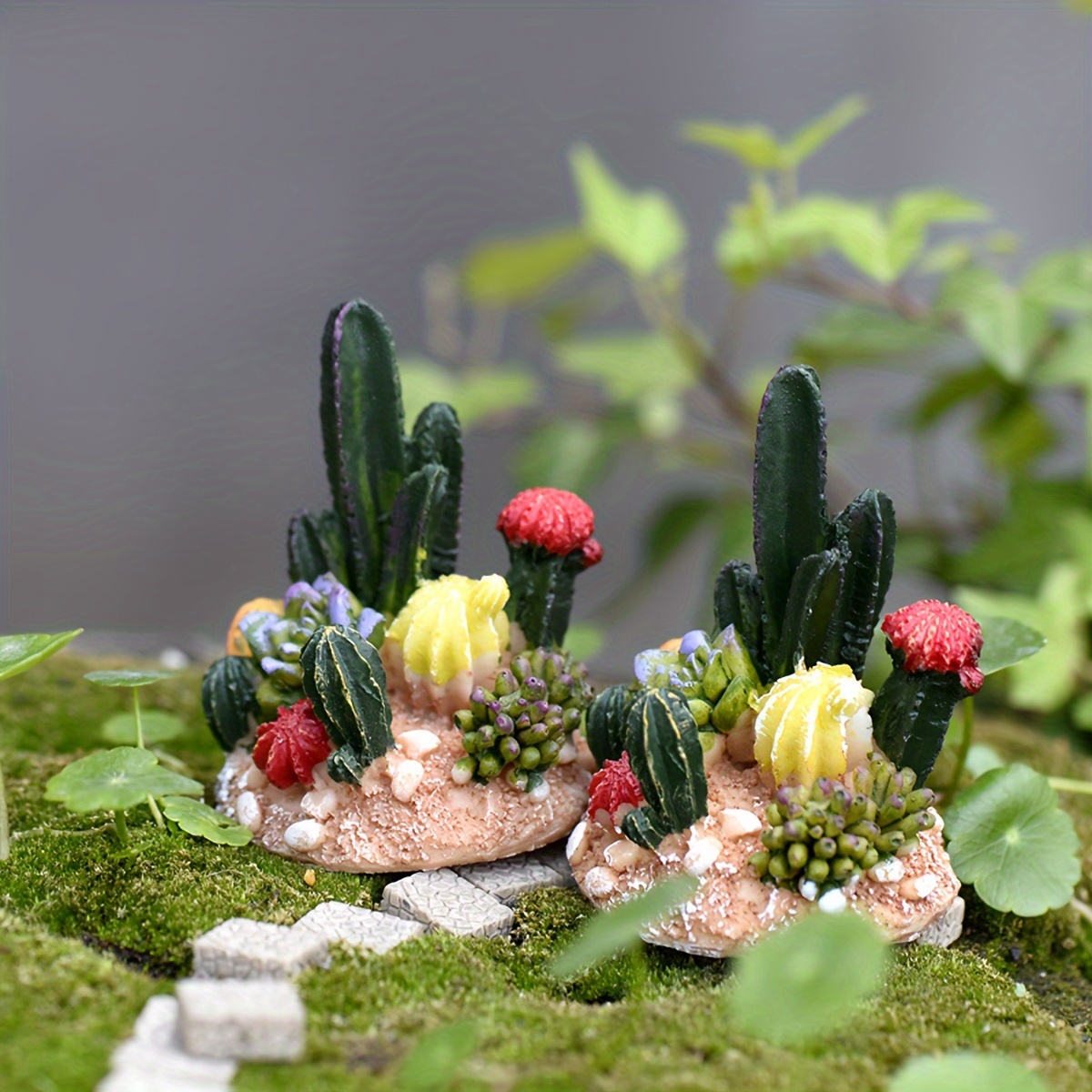 Cactus Plant Ornament Moss Micro Landscape Plant Temu Canada