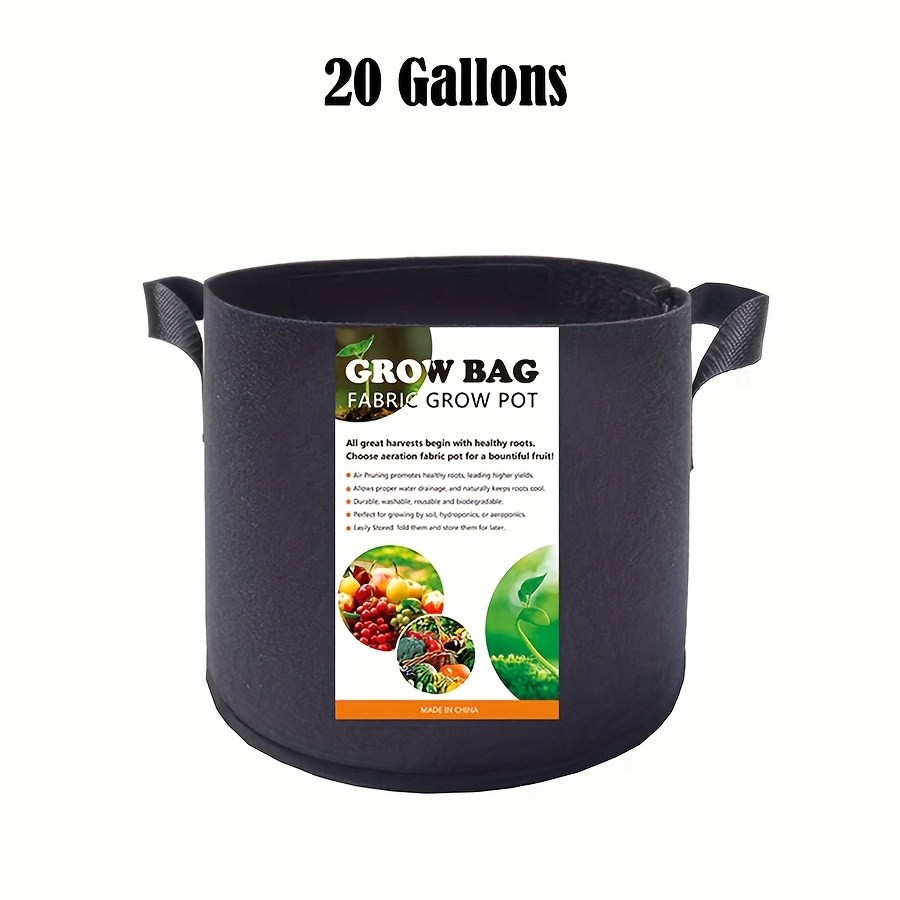 Grow Bag vs Plastic Pot or Buckets 