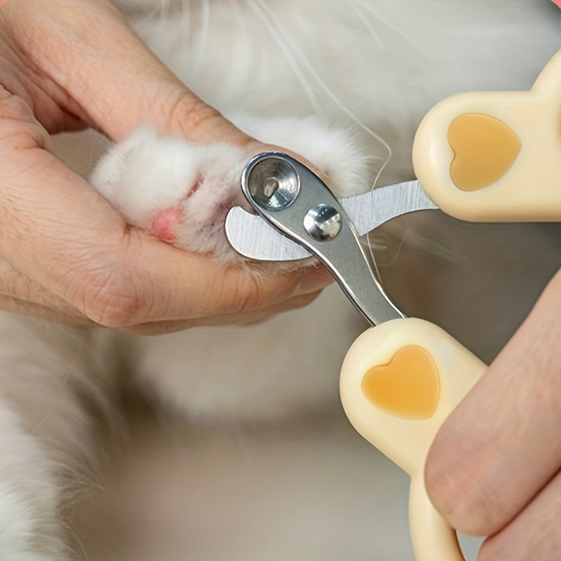 Kitten shop nail clippers