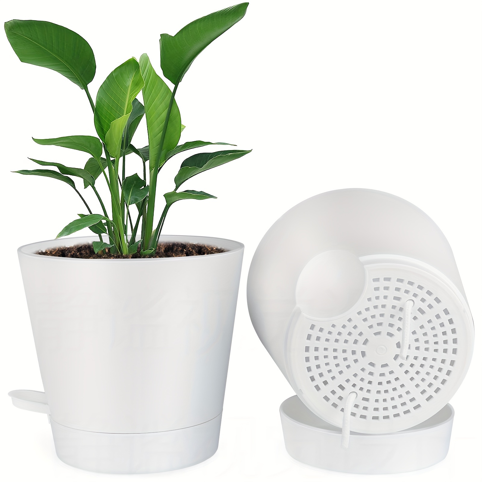  Self Watering Planters 8 Inch, Plant Pots with 500 mL Removable  Reservoir,2 Pack : Patio, Lawn & Garden