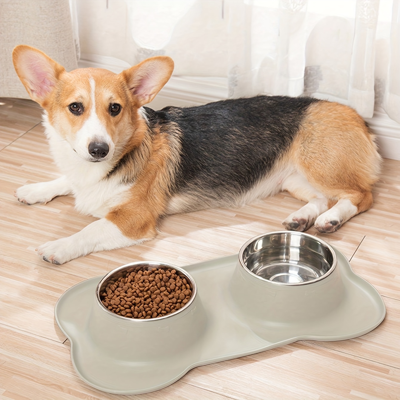 Dog Bowls Set Stainless Steel Dog Food Bowl with No Spill Non-Skid