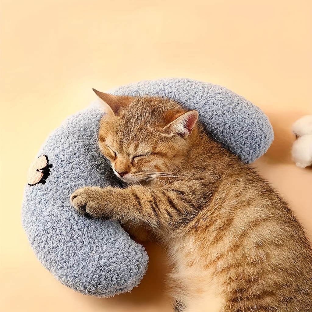 Dormi Locos - Almohada Pequeña - Gato : .es: Productos para mascotas