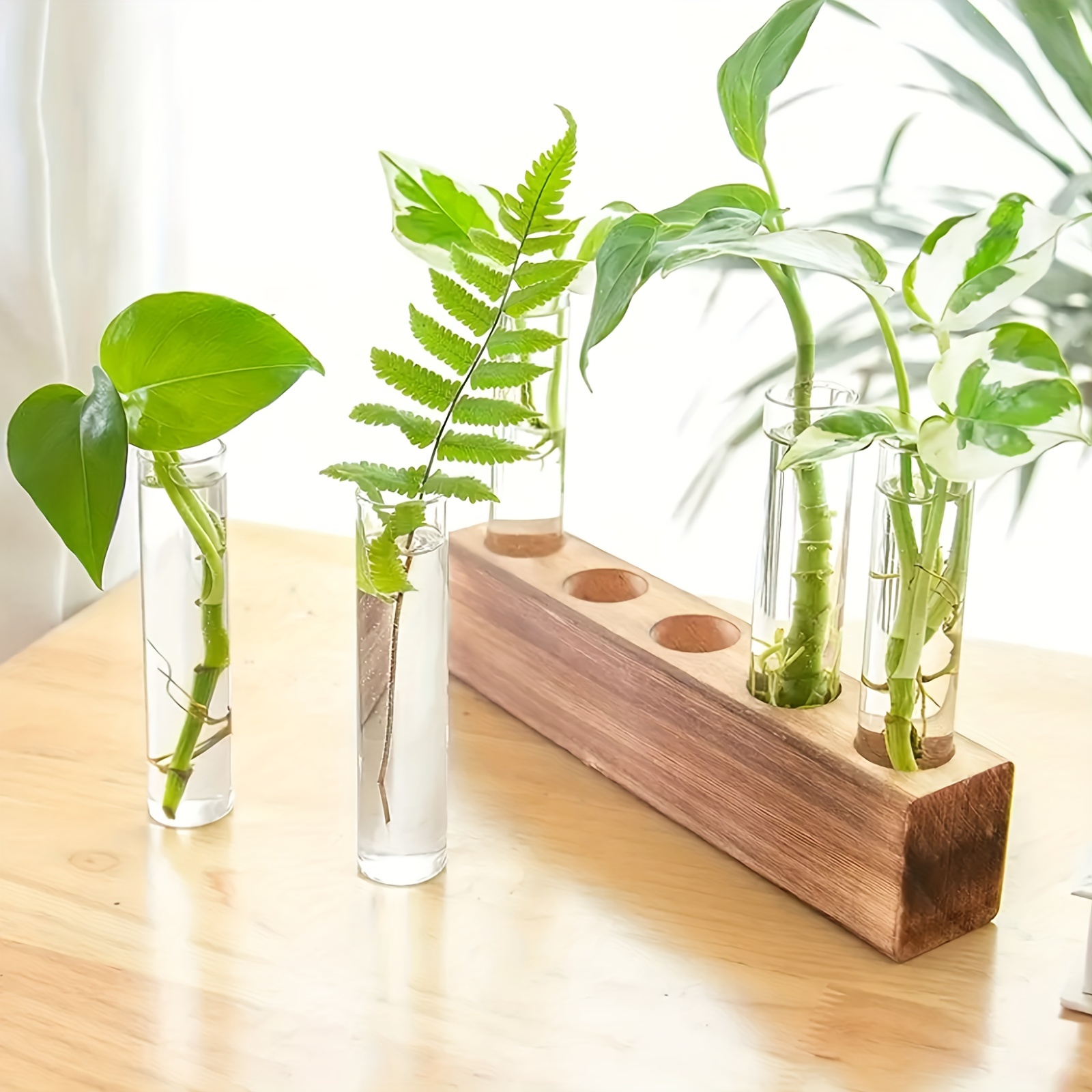 plant propagation station plant terrarium with wooden stand plant pots for hydroponics small birthday gardening gifts for women mom plant lovers unique