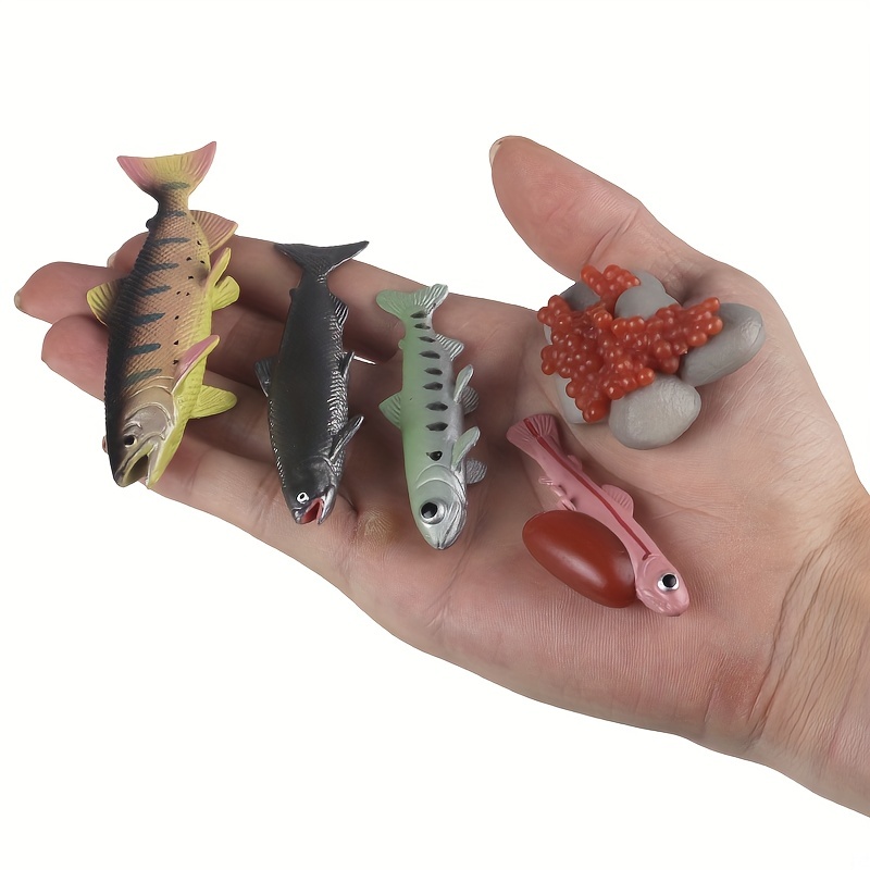 Salmon Fish Simulation Action Figure Toys Animal Growth Life Cycle