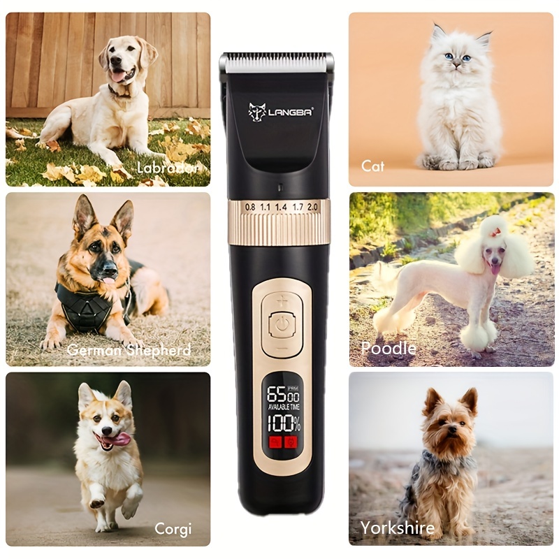 Wilktop Tondeuse électrique professionnelle pour chien - Tondeuse pour poils  d'animaux - Batterie rechargeable - Avec 4 embouts pour chien et chat -  Doré : : Animalerie