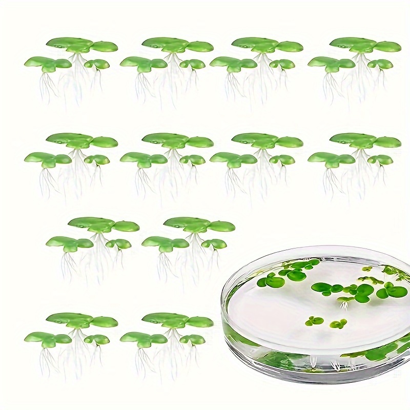 

18pcs Simulation Floating Duckweed, Plastic Water Grass, Fish Tank Ornaments, Water Surface Decoration, Fish Tank Plant Ornaments