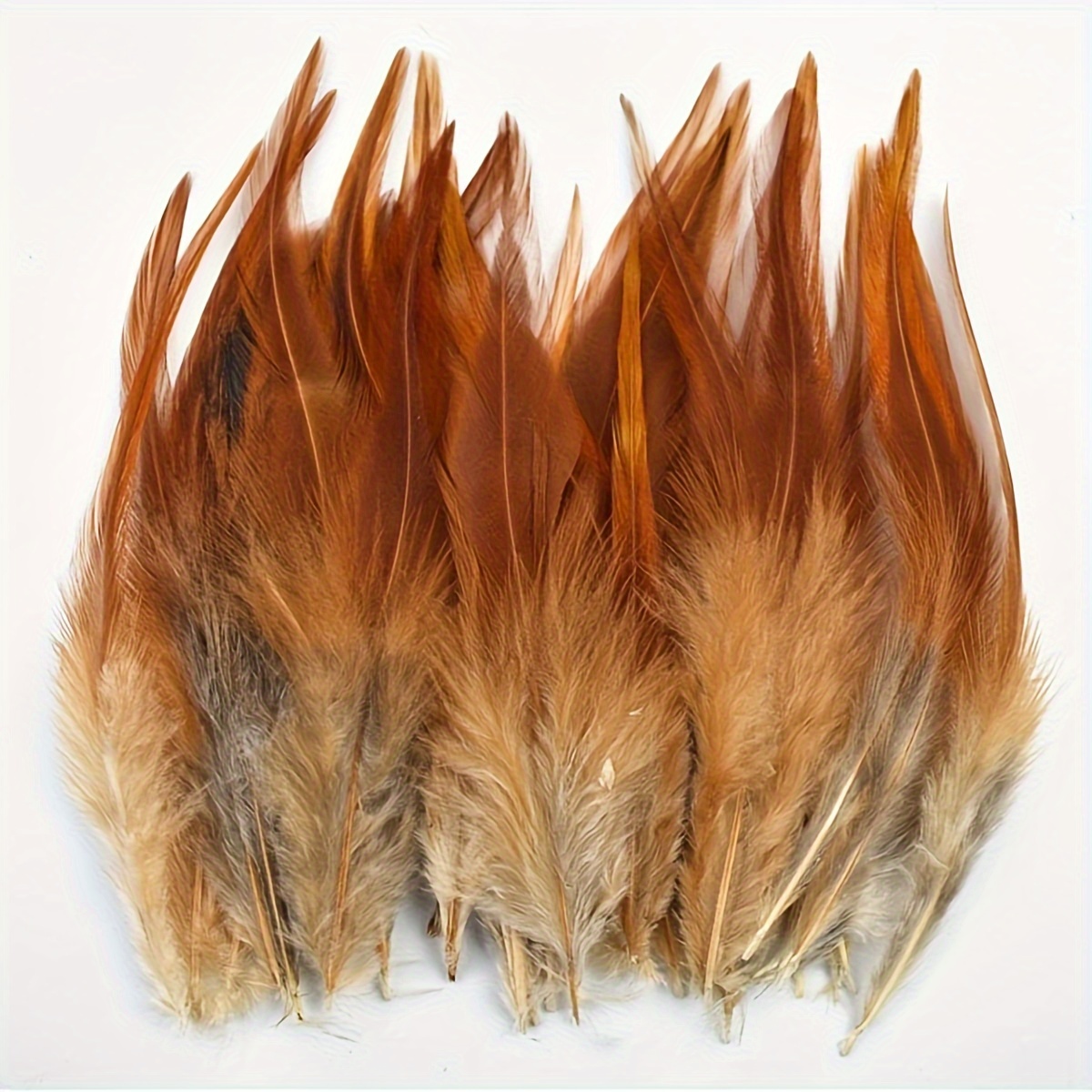 Bulk Rooster Feathers Natural Craft Feathers 50PCS