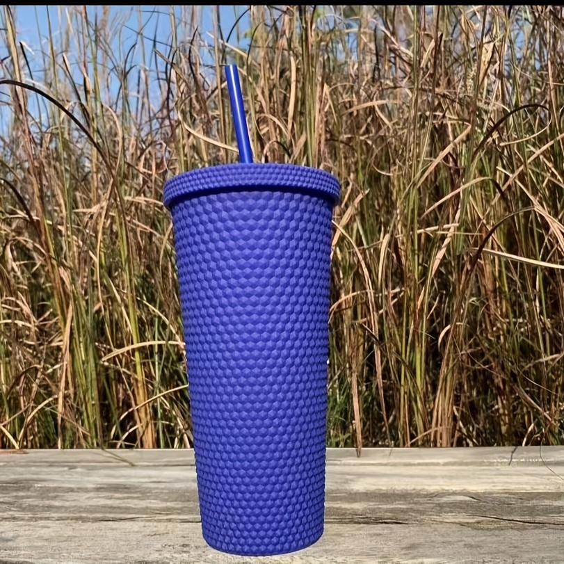 24 oz. Blue & Purple Reusable Plastic Tumblers with Lids & Straws