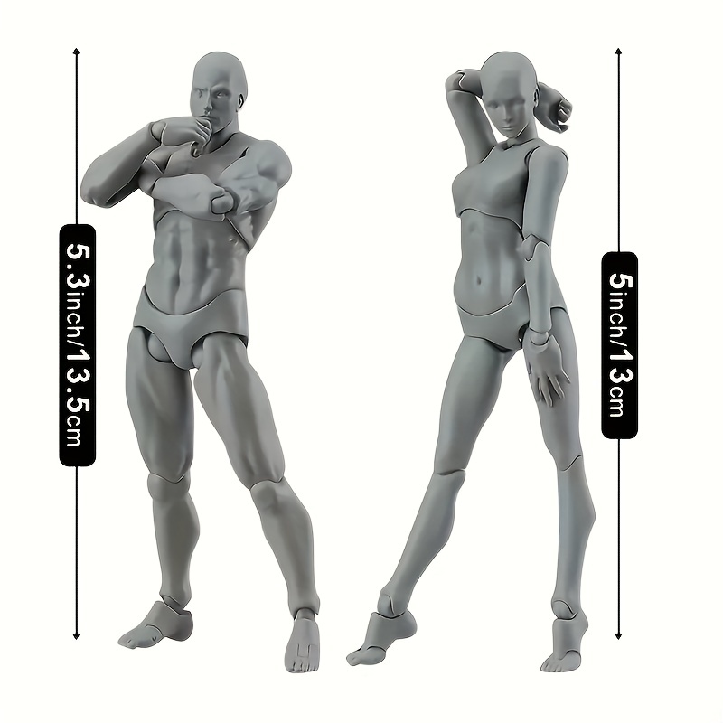 Action Figures Body-kun Dx Body-chan Dx Pvc Artists Manikin Jointed  Mannequin Drawing Figures For Figure Model - Temu Austria