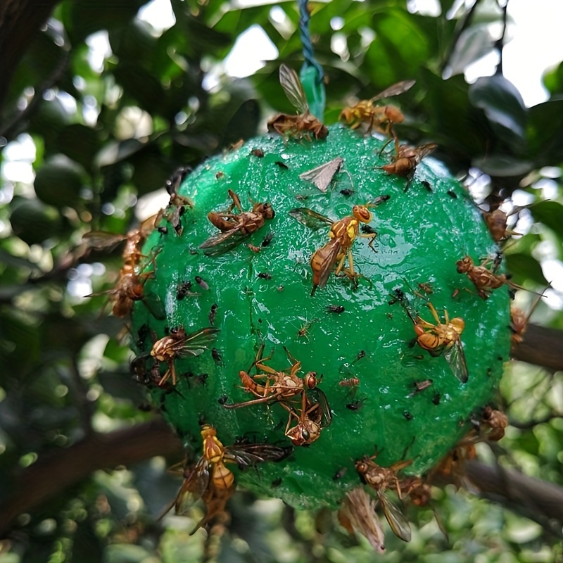 Hanging Fly Trap Ball Fruit Fly Catcher Pest Insect Repeller