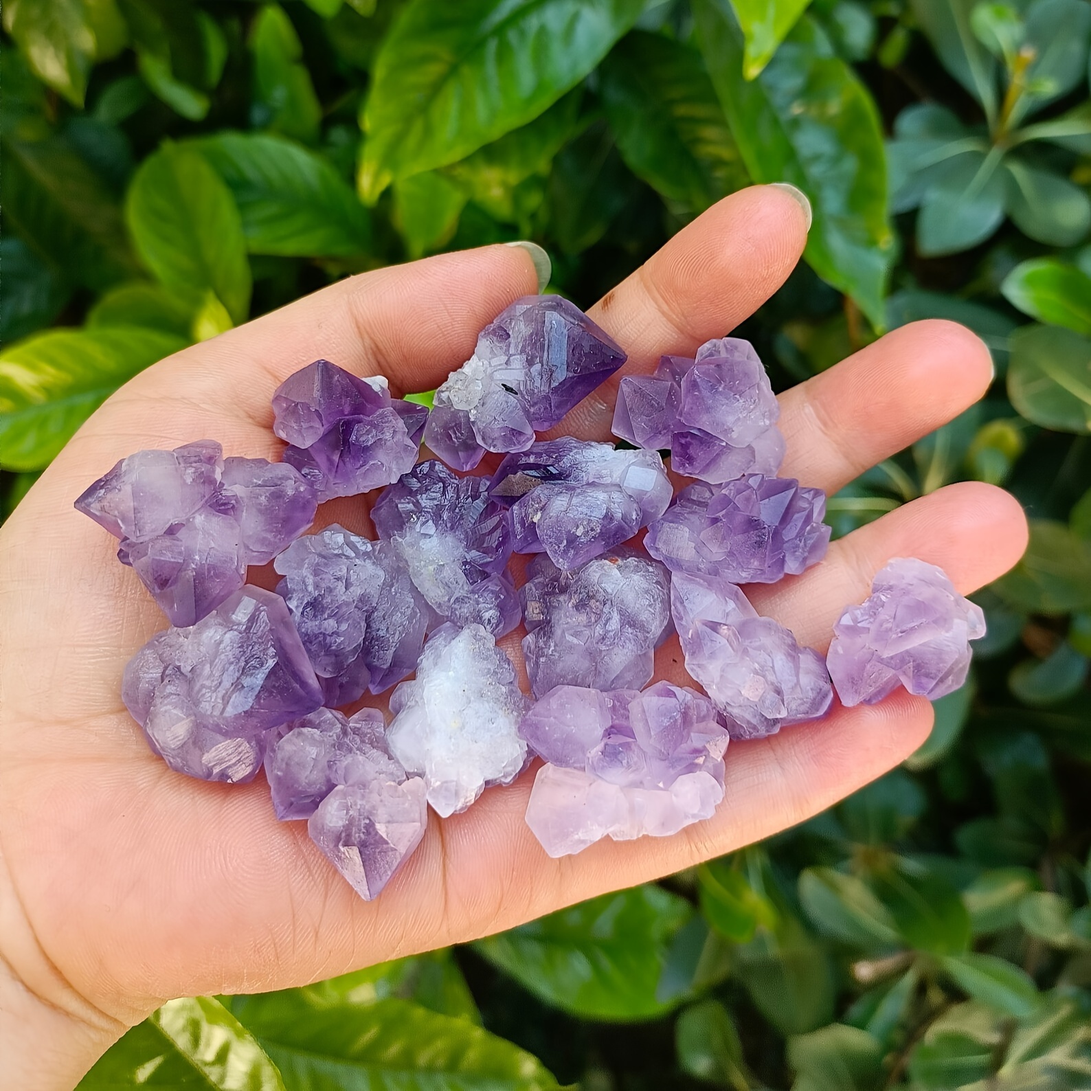 Amethyst on sale flower cluster