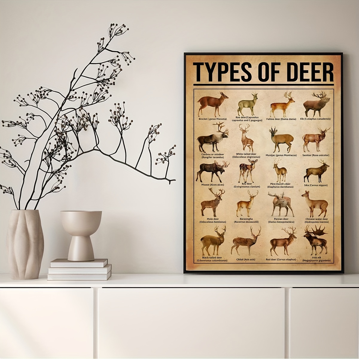 Reindeer Knowledge Canvas Poster - Home Decor