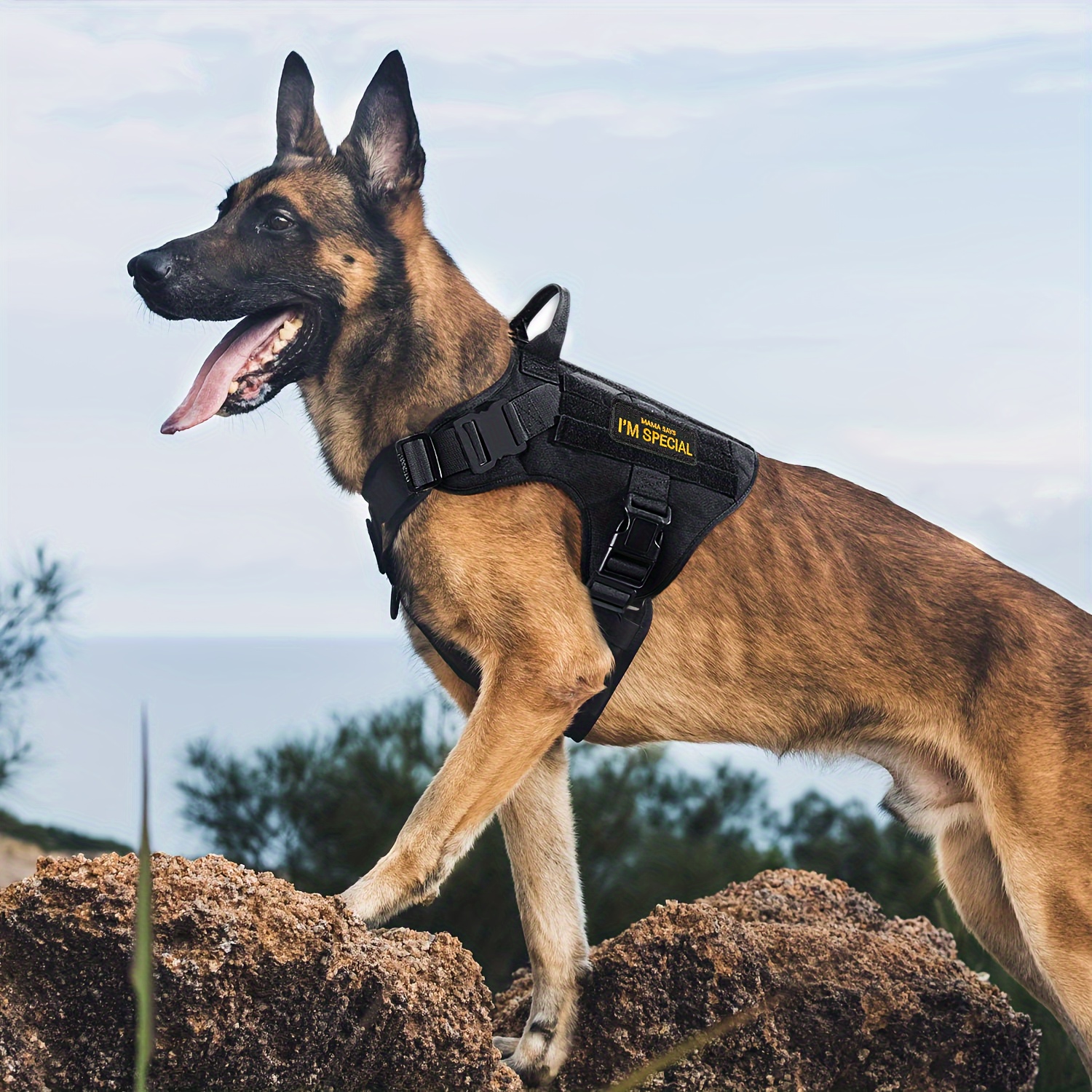 Tactical Dog Harness Handle No Pull Service Dog Vest - Temu