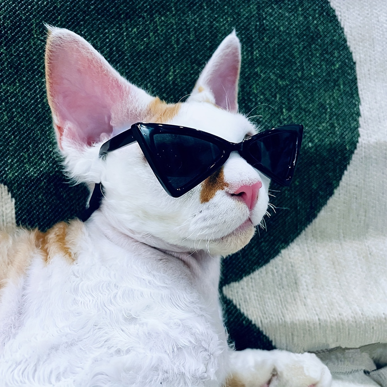 

1pc Trendy Glasses For Cats & Small Dogs - Stylish Frame, Fashionable , Ideal For Photo & Casual Attire, Pet Photo Prop| Eyewear|adjustable Pet Glasses