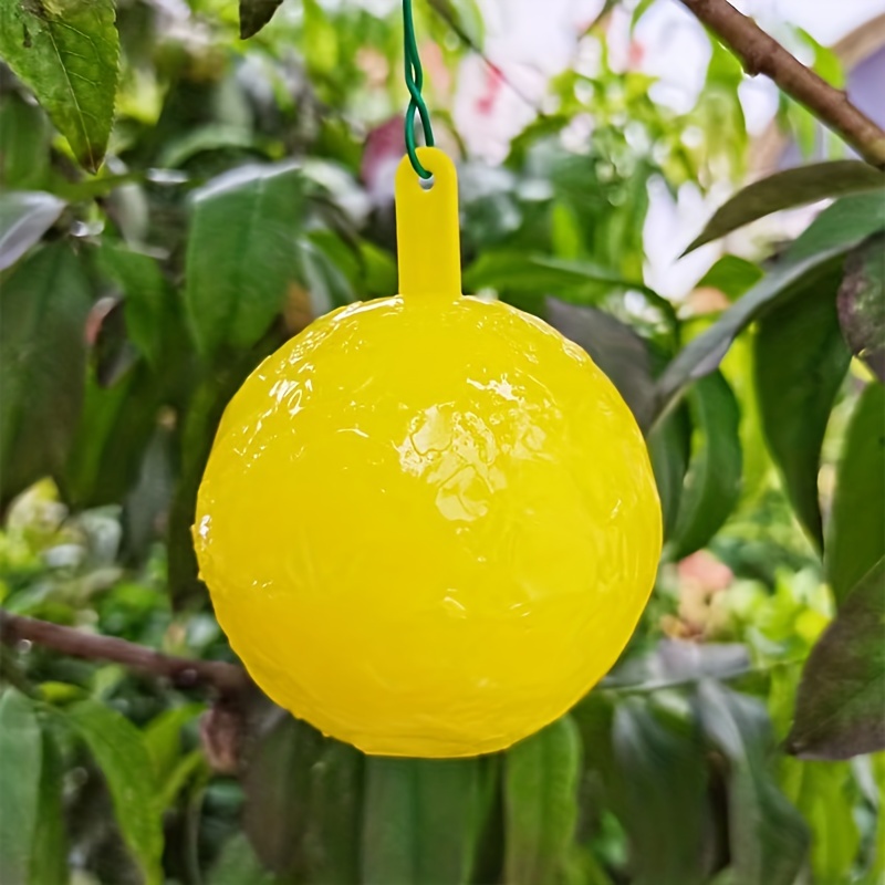 Sticky Insect Ball Fly Trap Mosquito Wasp Flying Insect Catching Tool,  Indoor And Outdoor Insect Traps, Indoor Outdoor House Kitchen Plants Trees  Flying Insects, Pest Control - Temu