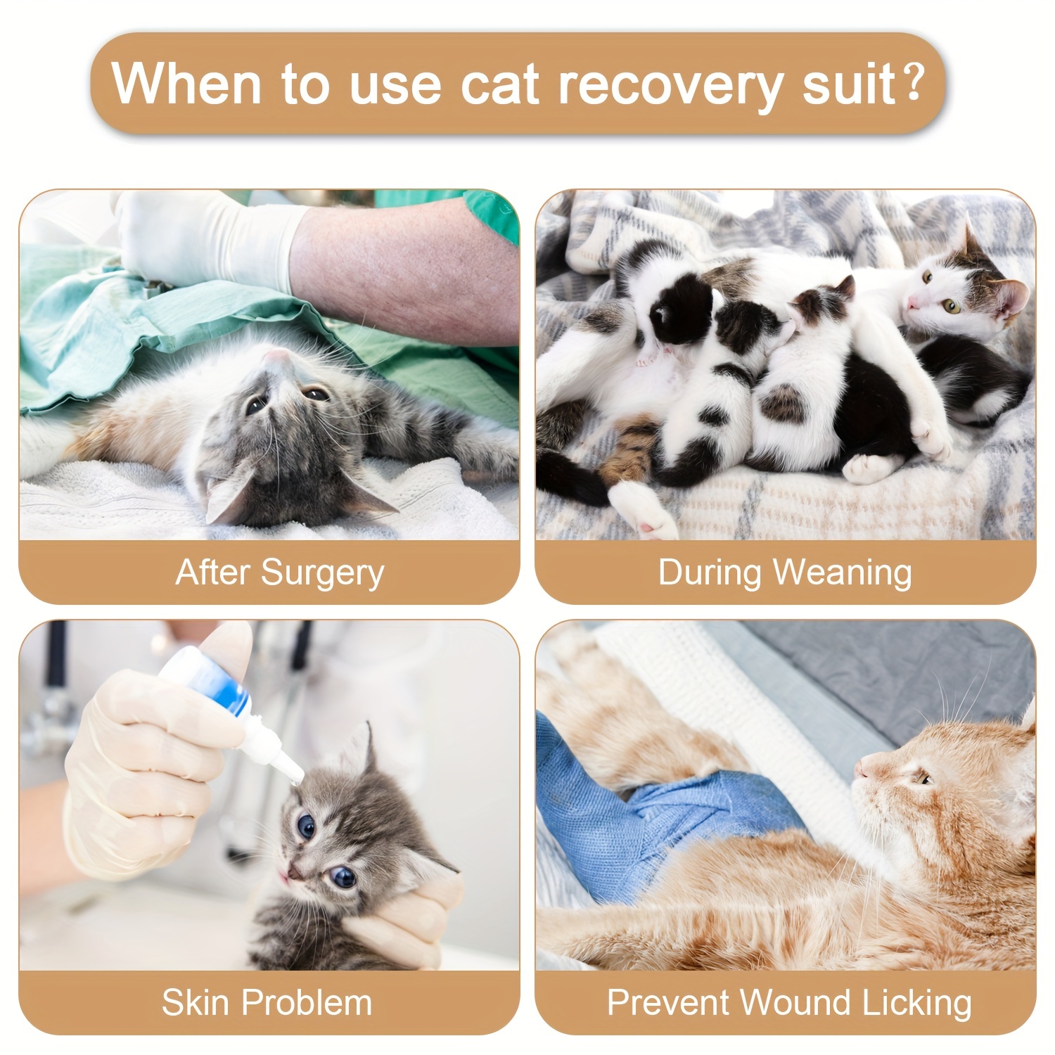 Cat Recovery Suit After Surgery for Female Male Pet Surgical