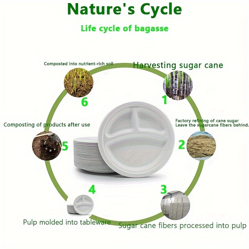 Paper Plates Disposable Biodegradable Sugarcane Dinner - Temu